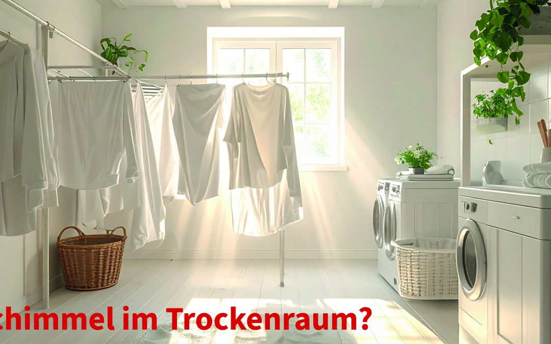 Taupunkt Lüftungssteuerung für Trockenräume: Schimmel vermeiden durch präzise Feuchteregelung