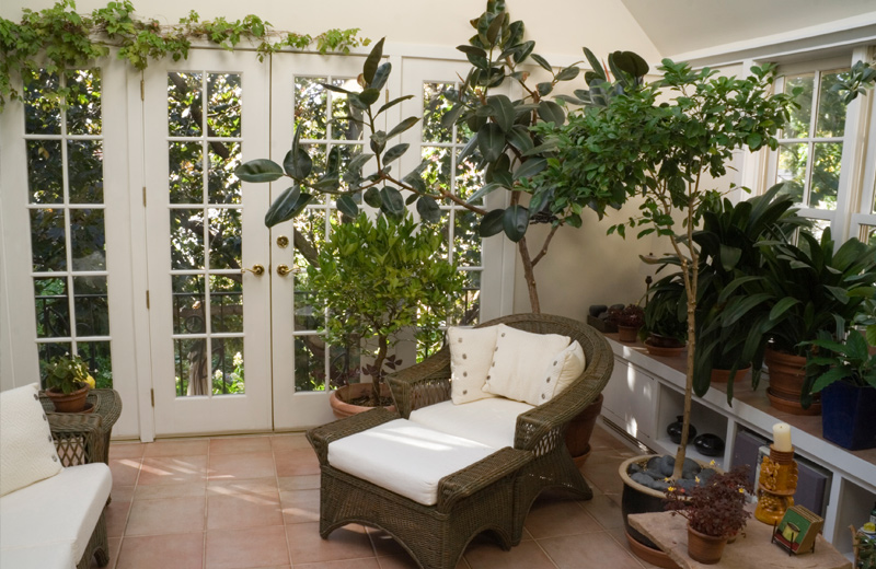 Wintergarten mit vielen Pflanzen und gemütlichem Sofa